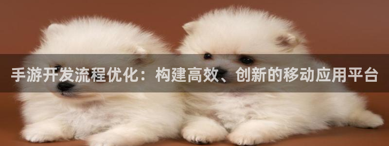 汇丰娱乐手机版：手游开发流程优化：构建高效、创新的移动应用平