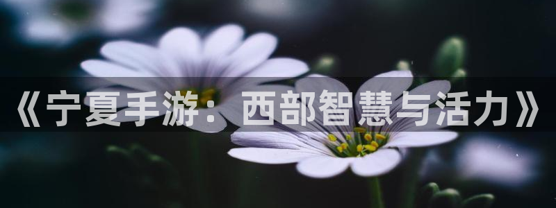 汇丰娱乐官网：《宁夏手游：西部智慧与活力》