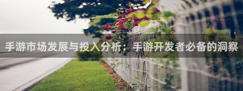 汇丰娱乐app最新版：手游市场发展与投入分析：手游开发者必备