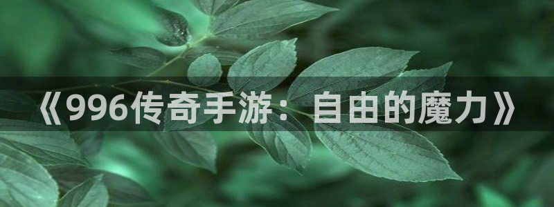 汇丰娱乐pc蛋蛋在线预测：《996传奇手游：自由的魔力》