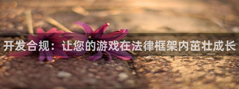 汇丰娱乐结果查询：开发合规：让您的游戏在法律框架内茁壮成长