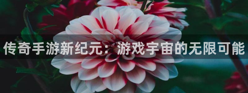 汇丰娱乐预测手机版下载：传奇手游新纪元：游戏宇宙的无限可能