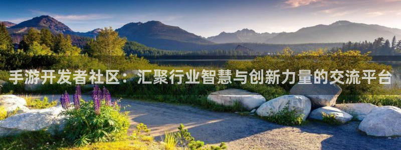 汇丰娱乐杀组合：手游开发者社区：汇聚行业智慧与创新力量的交流