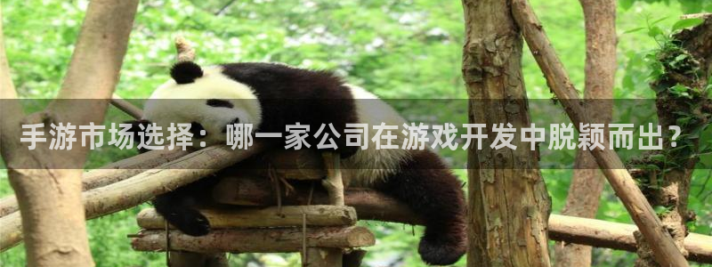 汇丰娱乐怎么用不了了：手游市场选择：哪一家公司在游戏开发中脱