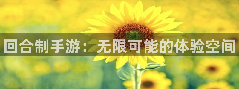 汇丰娱乐历史：回合制手游：无限可能的体验空间