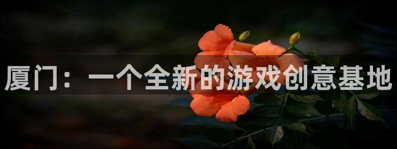 汇丰娱乐开奖网站：厦门：一个全新的游戏创意基地