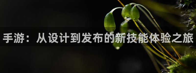 汇丰娱乐ios：手游：从设计到发布的新技能体验之旅