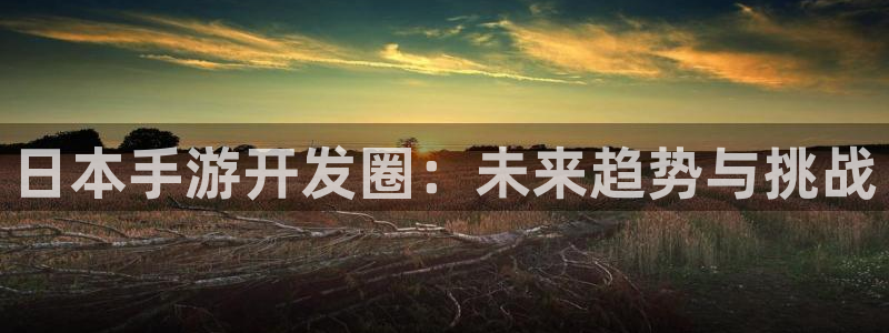 汇丰娱乐开奖预测：日本手游开发圈：未来趋势与挑战