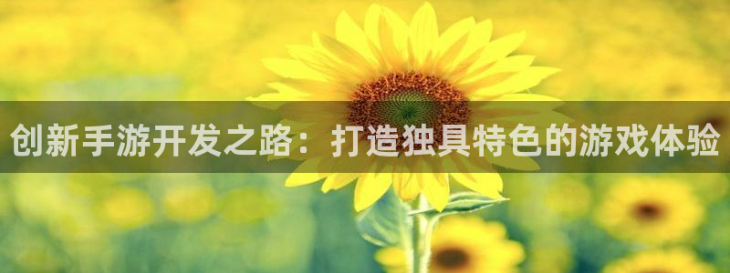 汇丰娱乐下载苹果版：创新手游开发之路：打造独具特色的游戏体验