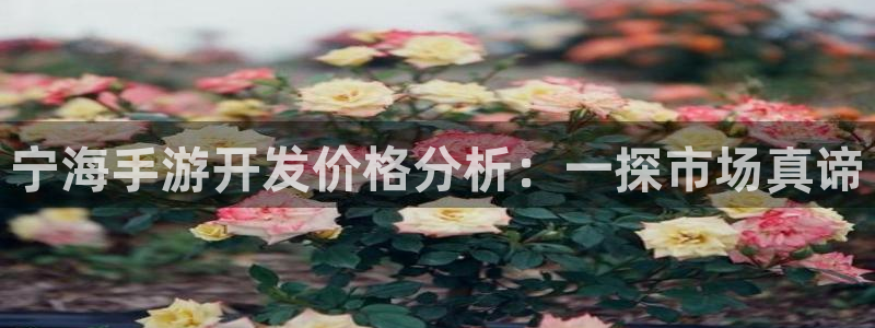 汇丰娱乐助手：宁海手游开发价格分析：一探市场真谛