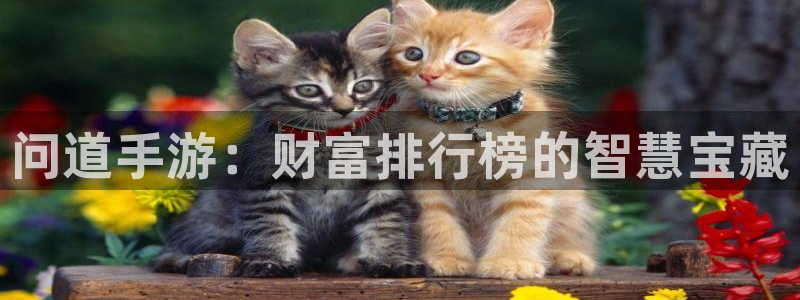 汇丰娱乐6.0.0版：问道手游：财富排行榜的智慧宝藏