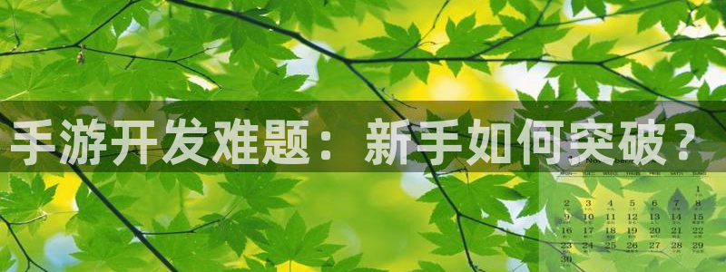 汇丰娱乐算法公式：手游开发难题：新手如何突破？