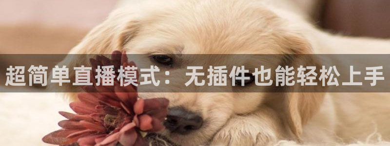 小九足球直播在线观看