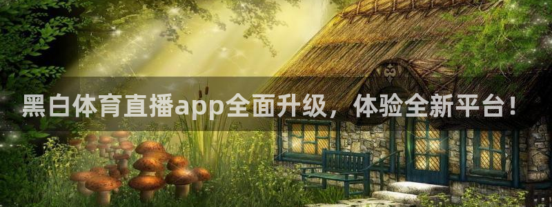 小九nba直播在线观看高清免费