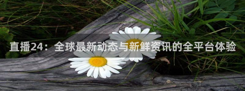 小九直播篮球nba
