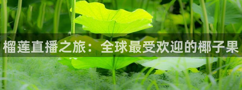 新闻图片