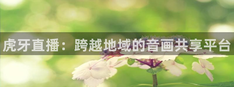 小九篮球直播在线观看：虎牙直播：跨越地域的音画共享平台