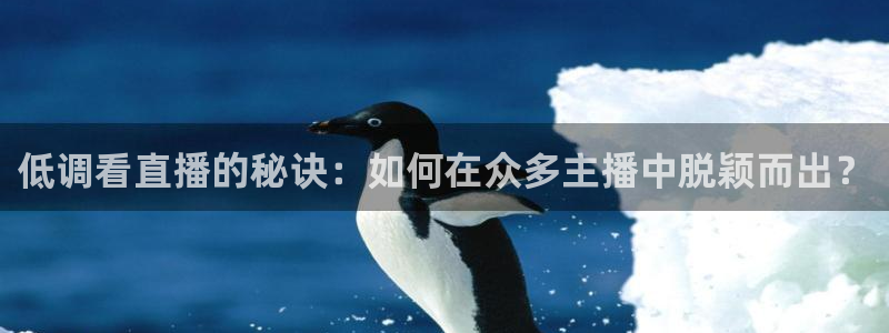 小九足球免费直播高清观看：低调看直播的秘诀：如何在众多主播中脱颖而出？
