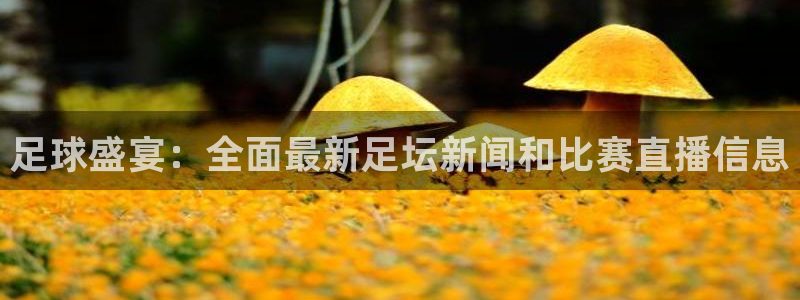 nba在线直播免费观看直播小九直播：足球盛宴：全面最新足坛新闻和比赛直播信息