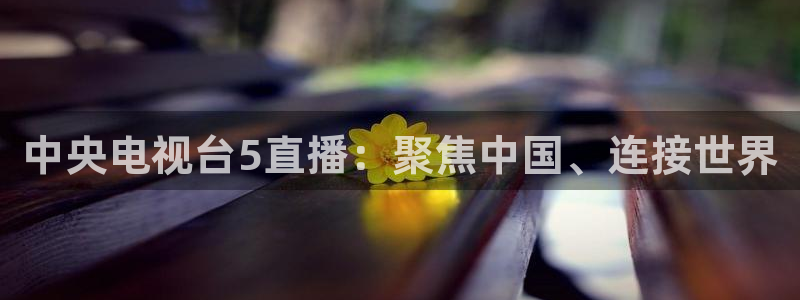 小九直播nba在线观看：中央电视台5直播：聚焦中国、连接世界